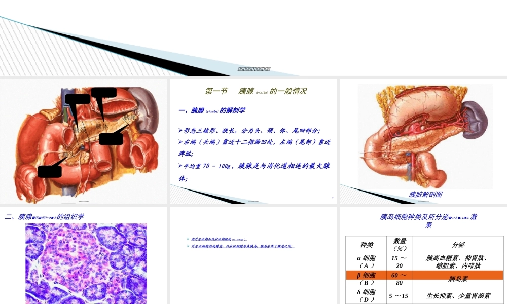 2022年医学专题—内分泌学.pptx(1).ppt