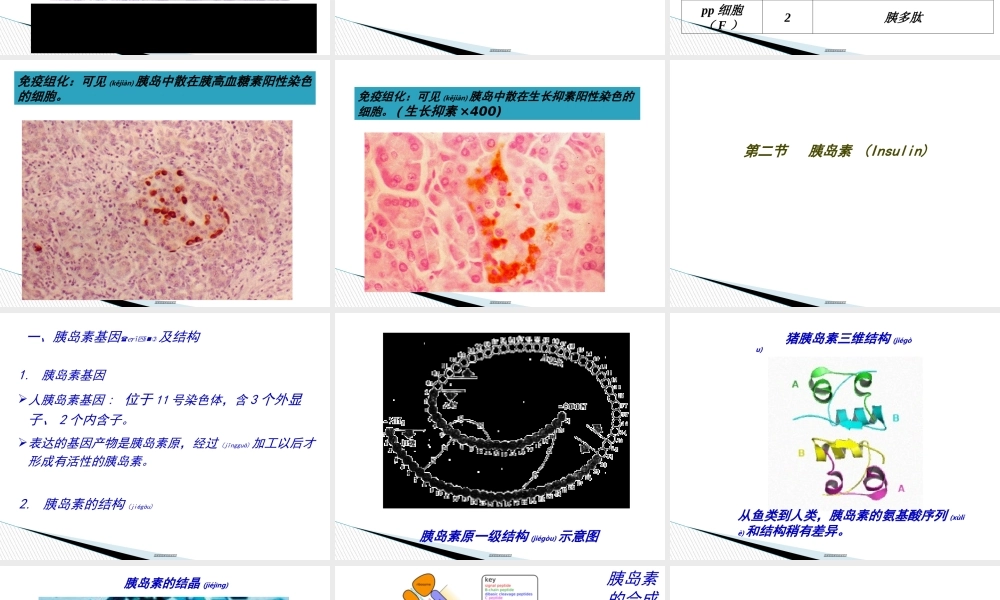 2022年医学专题—内分泌学.pptx(1).ppt