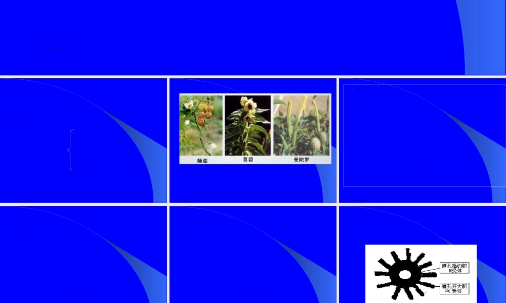 2022年医学专题—第胆碱受体阻断药(1).ppt
