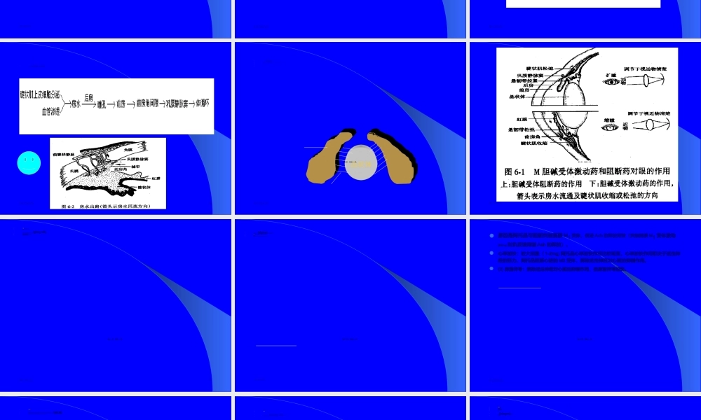 2022年医学专题—第胆碱受体阻断药(1).ppt
