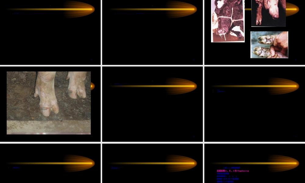 2022年医学专题—动物检疫学3.2多种家畜共患病(1).ppt