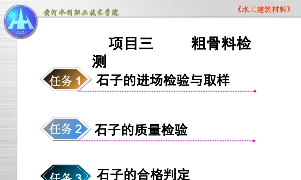 [资料]项目三粗骨检测(1).ppt