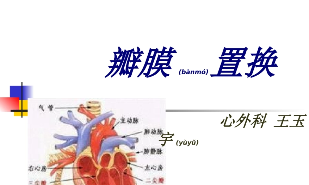 2022年医学专题—心脏瓣膜病个案2(1).ppt