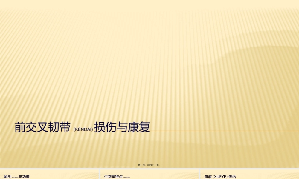 2022年医学专题—ACL损伤与康复.pptx