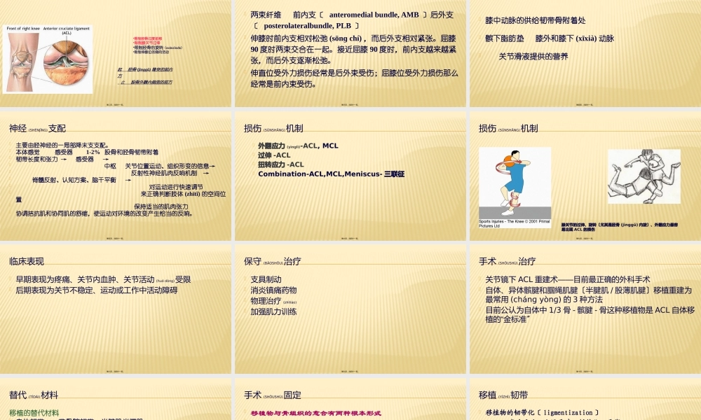 2022年医学专题—ACL损伤与康复.pptx
