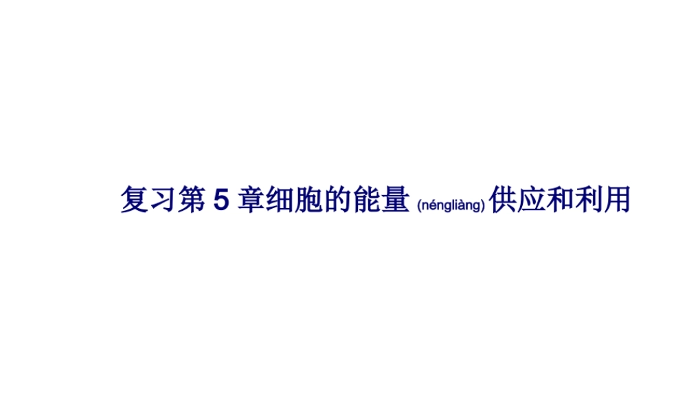 2022年医学专题—知识点复习第5章细胞的能量供应和利用(1).ppt