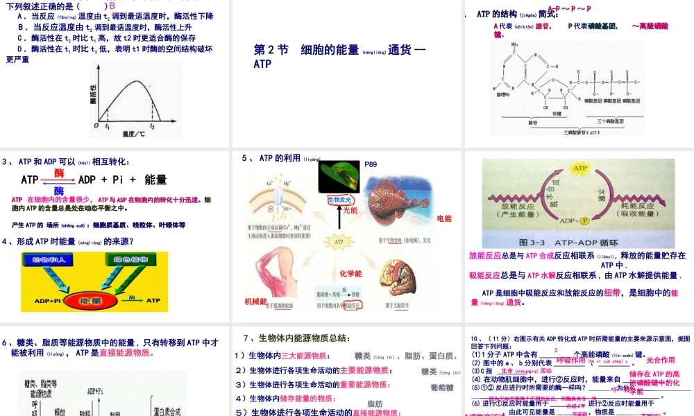 2022年医学专题—知识点复习第5章细胞的能量供应和利用(1).ppt