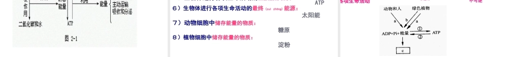 2022年医学专题—知识点复习第5章细胞的能量供应和利用(1).ppt
