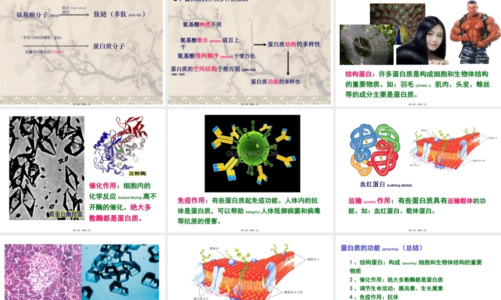 2022年医学专题—必修一2.2蛋白质-(共35张PPT)(1).ppt