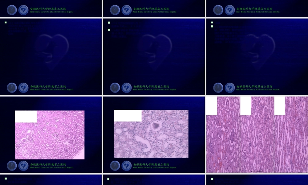 2022年医学专题—安徽医科大学PPT.ppt