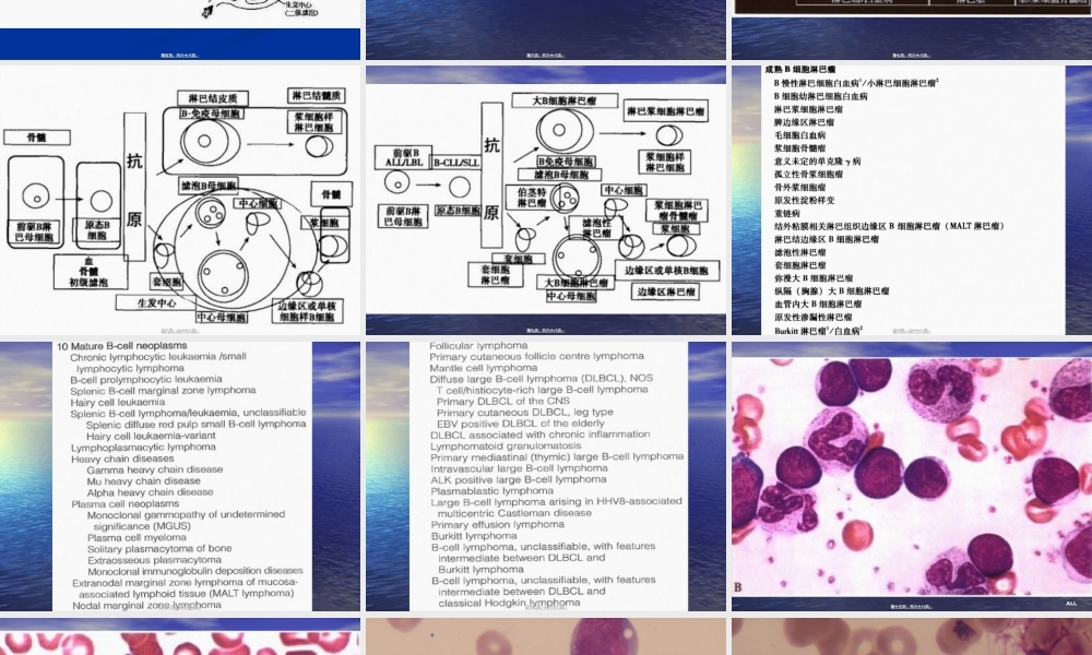 2022年医学专题—异常血细胞形态.ppt
