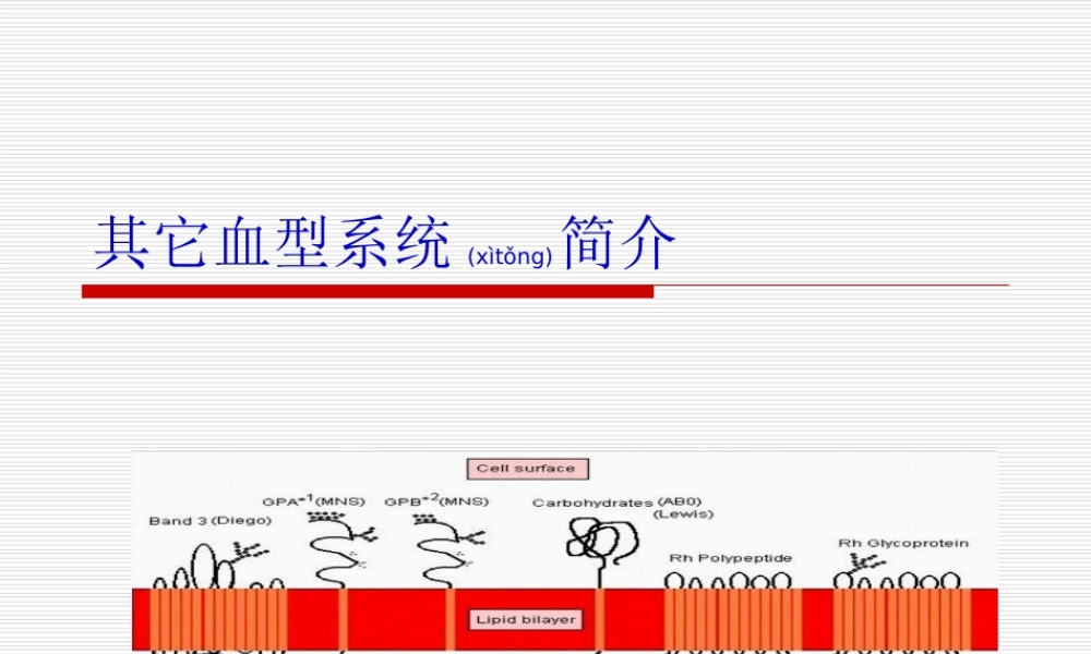 2022年医学专题—其它血型系统简介(1).ppt