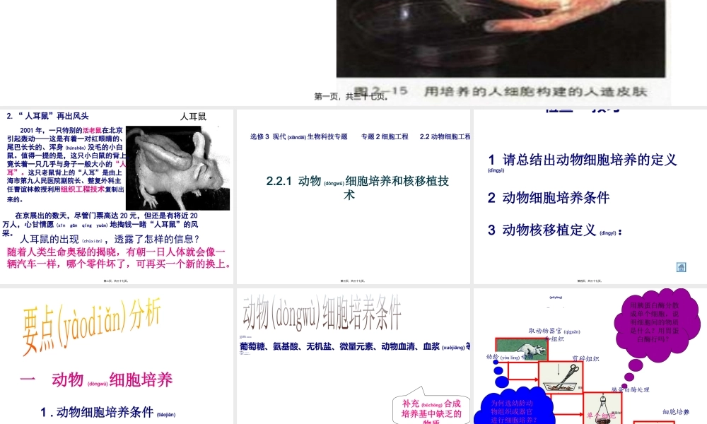 2022年医学专题—动物细胞工程(1).ppt