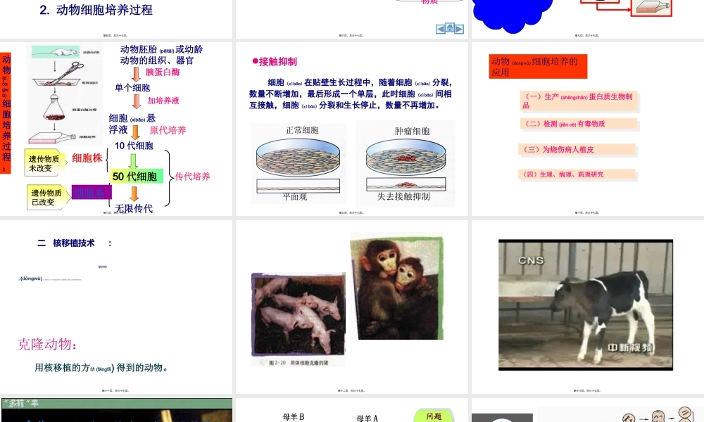 2022年医学专题—动物细胞工程(1).ppt