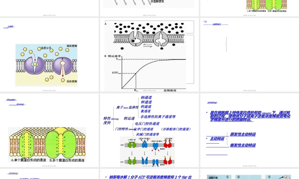 2022年医学专题—第三篇--细胞的基本功能.ppt