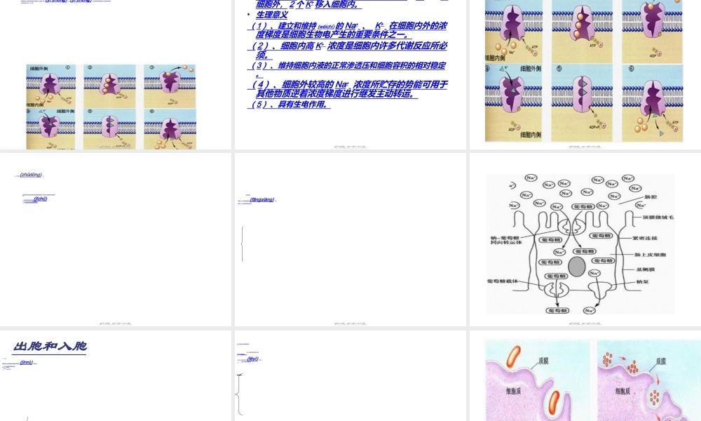 2022年医学专题—第三篇--细胞的基本功能.ppt