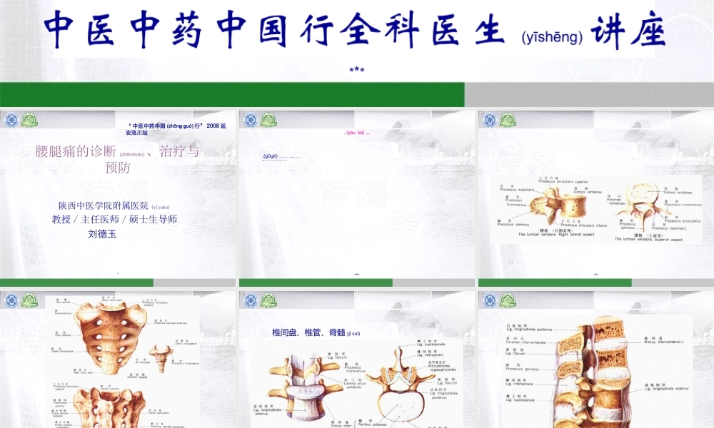 2022年医学专题—中国行医生讲座-模板(腰)刘德玉.ppt