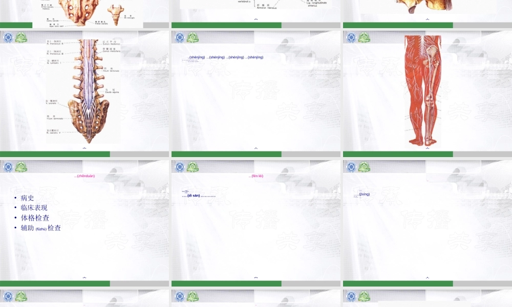 2022年医学专题—中国行医生讲座-模板(腰)刘德玉.ppt