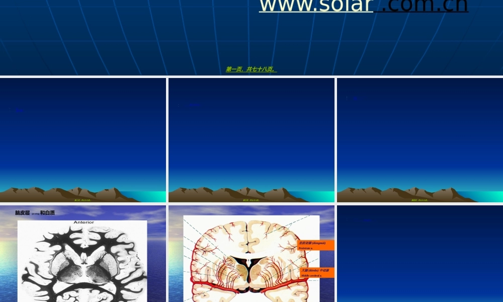 2022年医学专题—脑电图知识.ppt