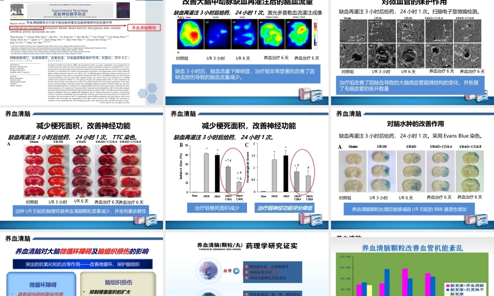 养血清脑颗粒--慢性脑缺血.ppt