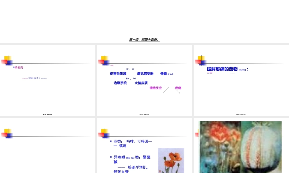 2022年医学专题—第16讲--镇痛药(1).ppt