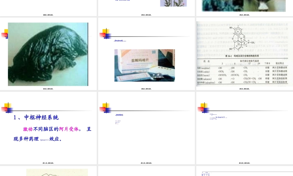 2022年医学专题—第16讲--镇痛药(1).ppt