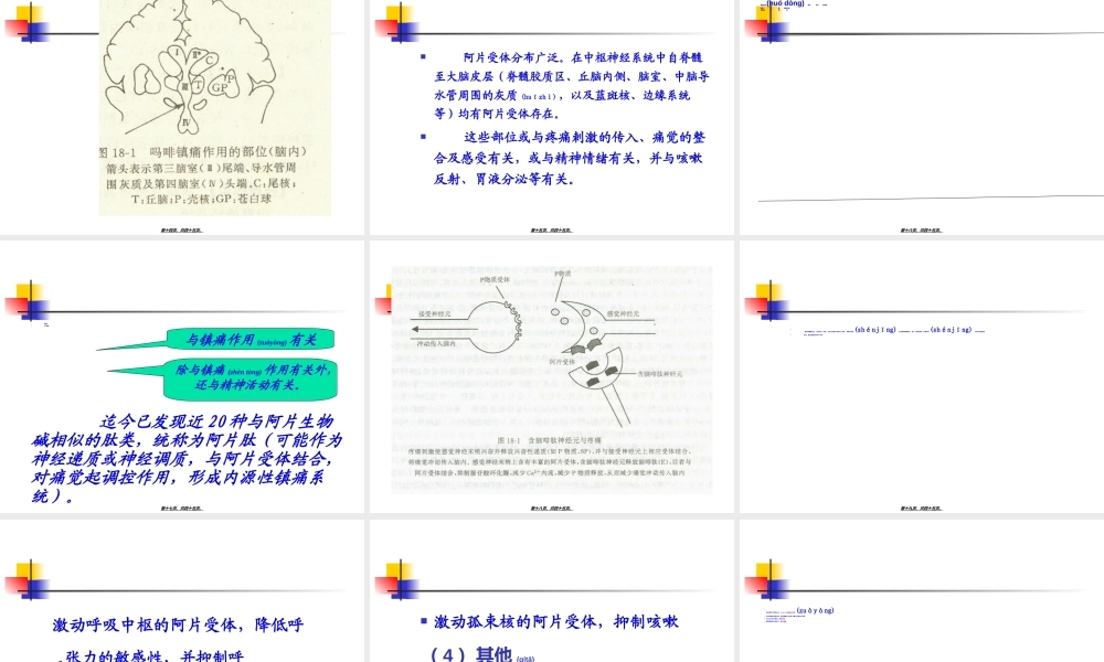2022年医学专题—第16讲--镇痛药(1).ppt
