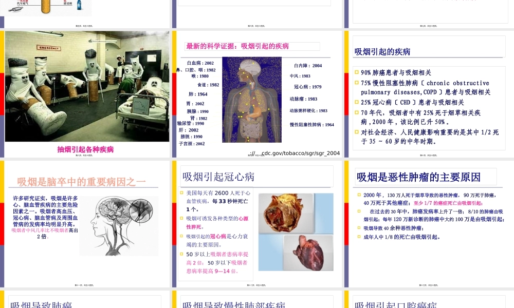 吸烟与健康.pptx