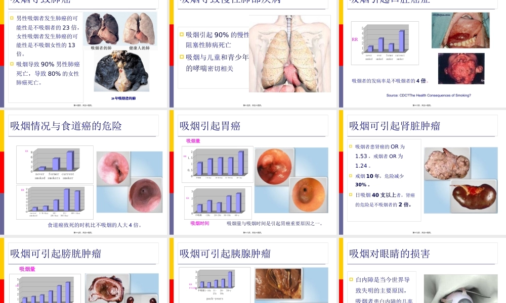 吸烟与健康.pptx