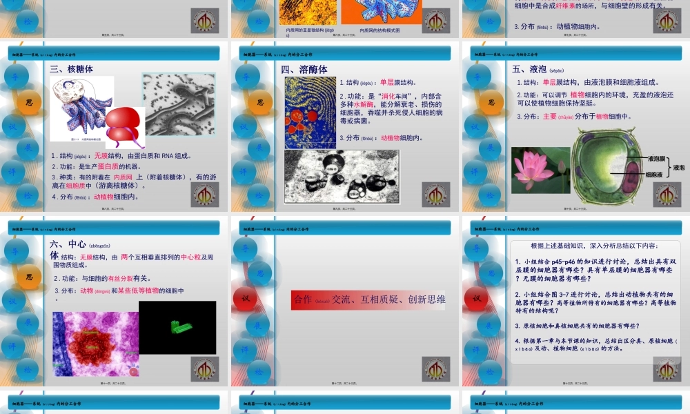 2022年医学专题—系统内的分工合作——细胞器(1).ppt