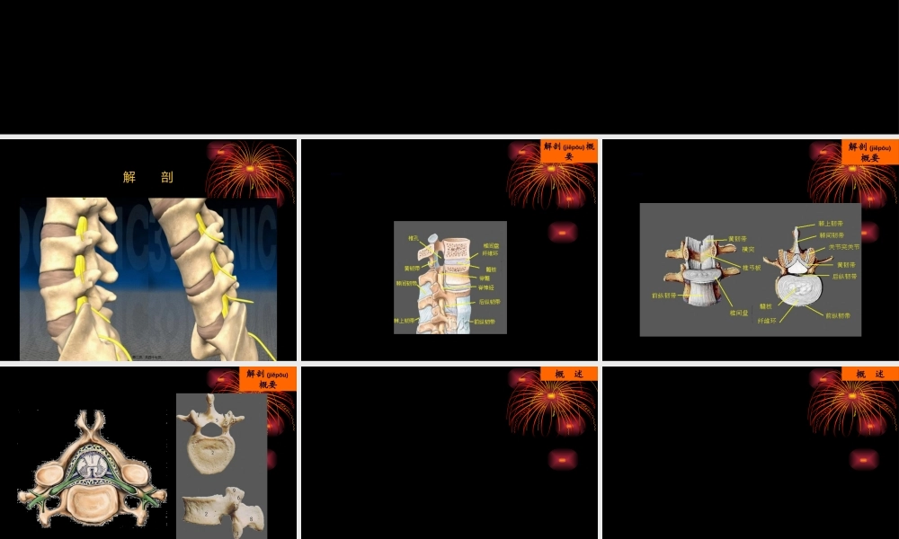 2022年医学专题—腰椎间盘突出症的诊治(1).ppt