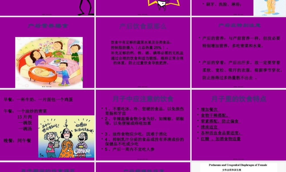 产后恢复幻灯片.pptx