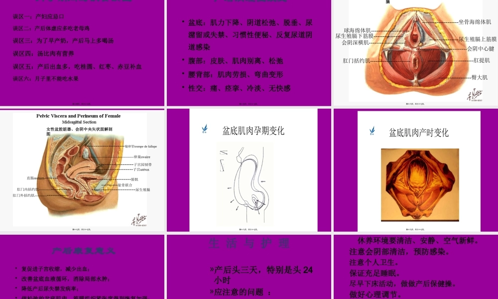 产后恢复幻灯片.pptx