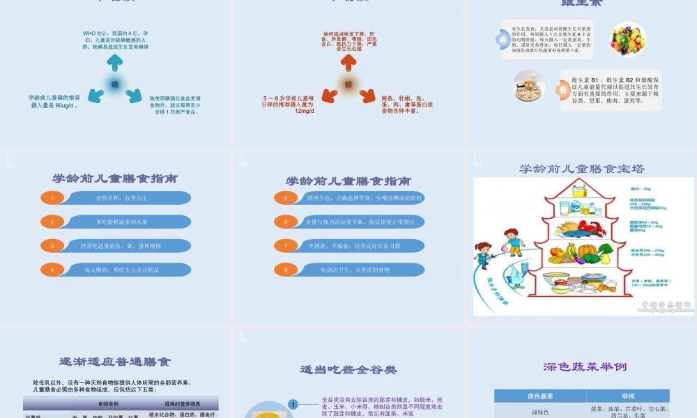 学龄前儿童营养.ppt