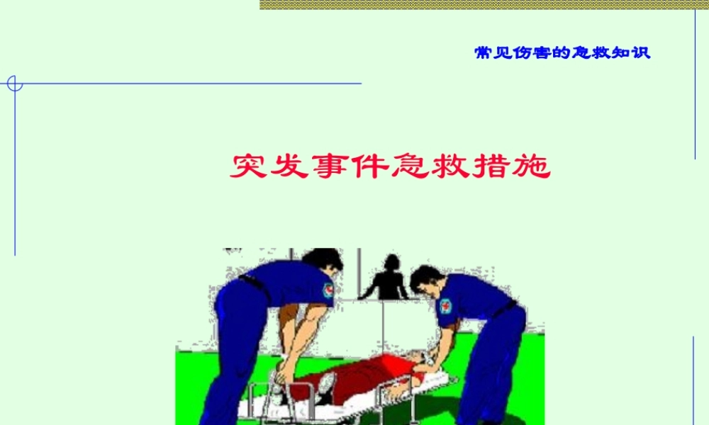 常见伤害的急救.ppt