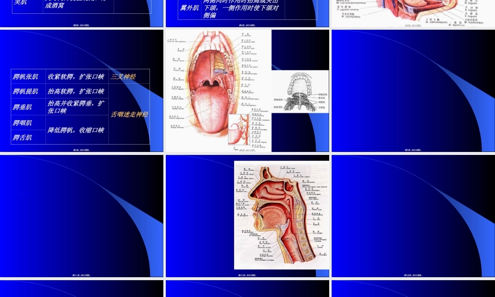 2022年医学专题—吞咽困难的评定与康复(1).ppt