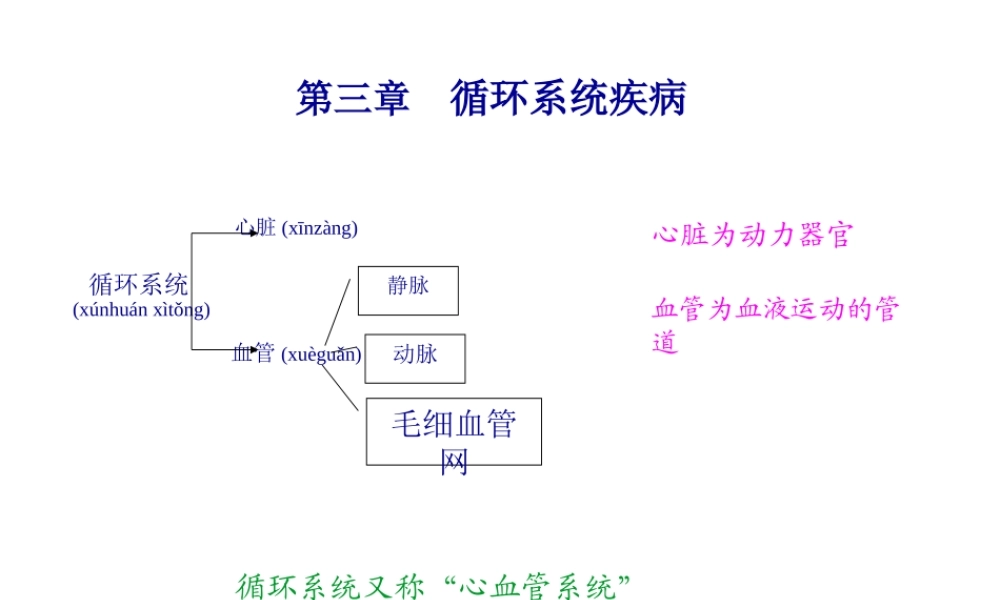 2022年医学专题—循环系统-心脏(1).ppt