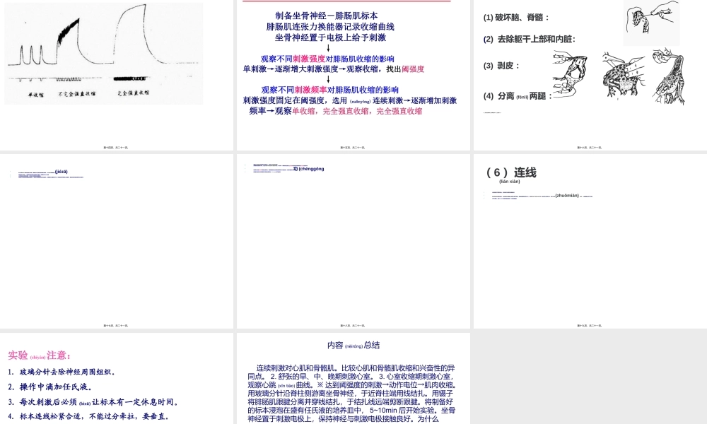 2022年医学专题—机能—心肌骨骼肌..ppt