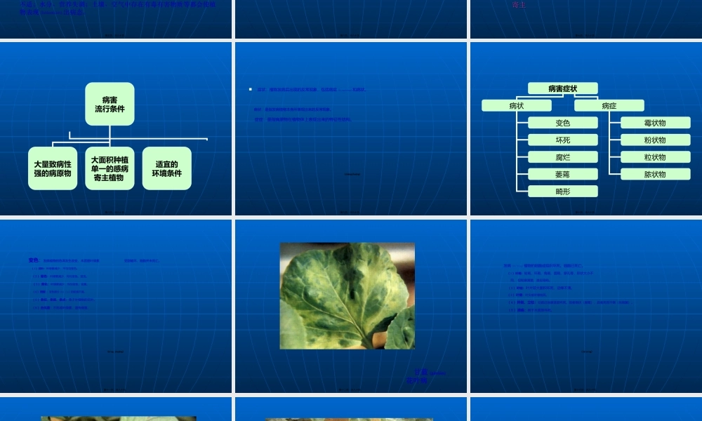 2022年医学专题—植物病害基础知识.ppt