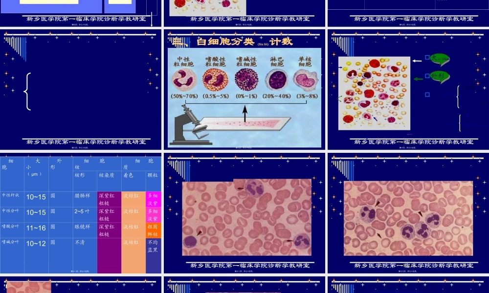2022年医学专题—第二讲-白细胞检查--(2010)(1).ppt
