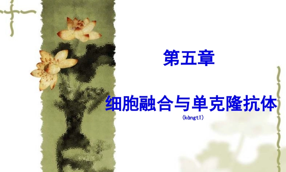 2022年医学专题—第五章--细胞融合与单克隆抗体10.25(1).ppt