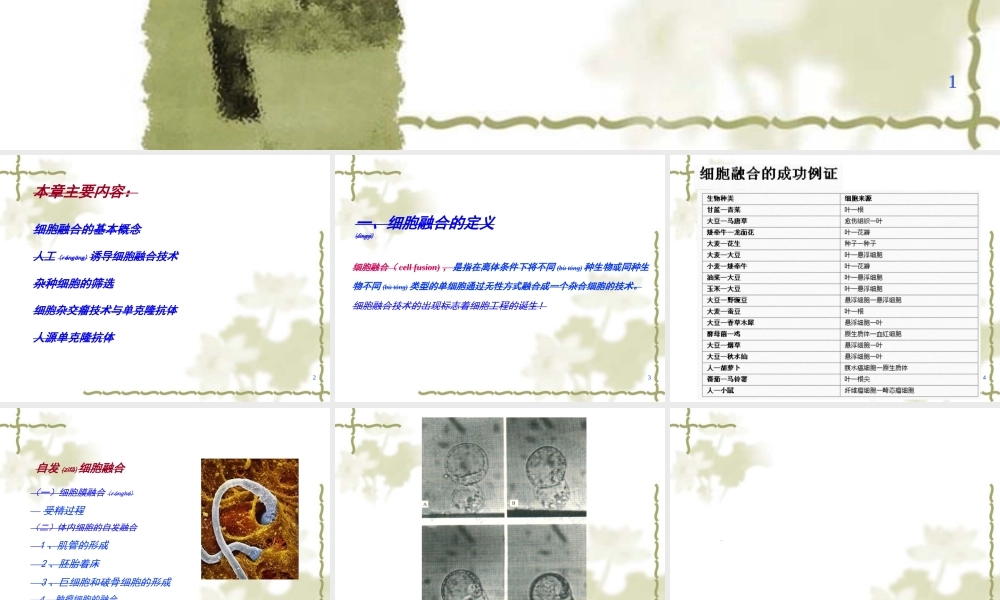 2022年医学专题—第五章--细胞融合与单克隆抗体10.25(1).ppt