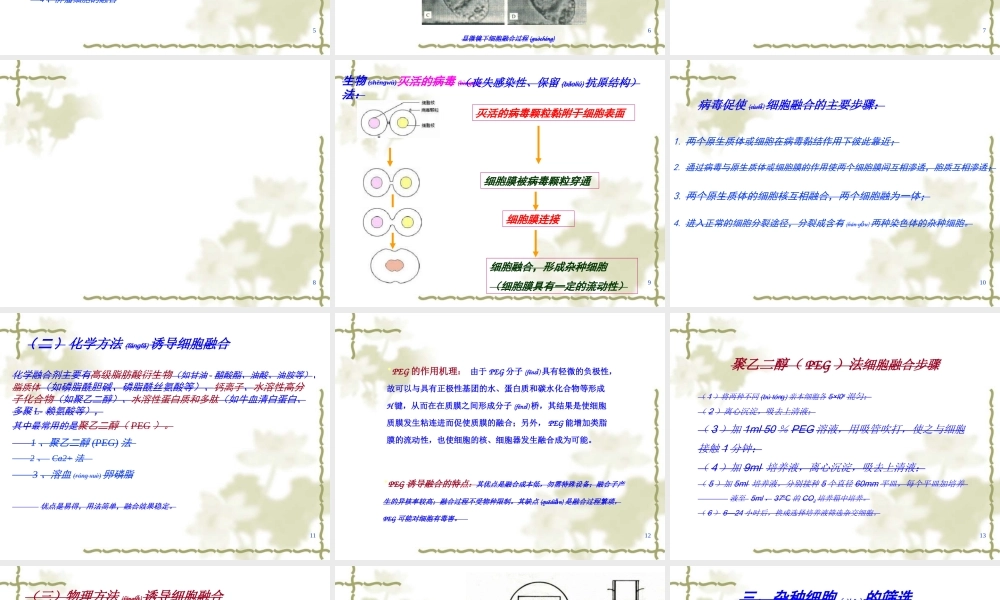 2022年医学专题—第五章--细胞融合与单克隆抗体10.25(1).ppt