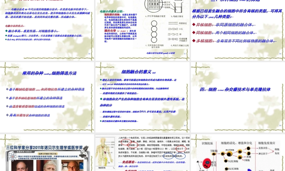 2022年医学专题—第五章--细胞融合与单克隆抗体10.25(1).ppt