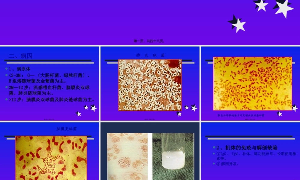 化脓性脑膜炎修改-PPT文档资料.pptx