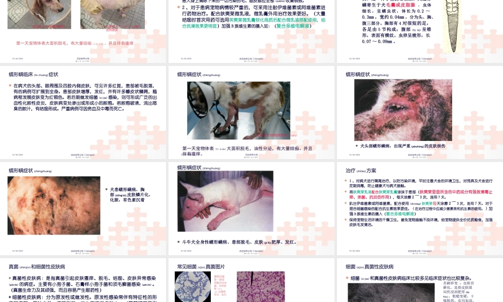 2022年医学专题—宠物皮肤病分享.pptx