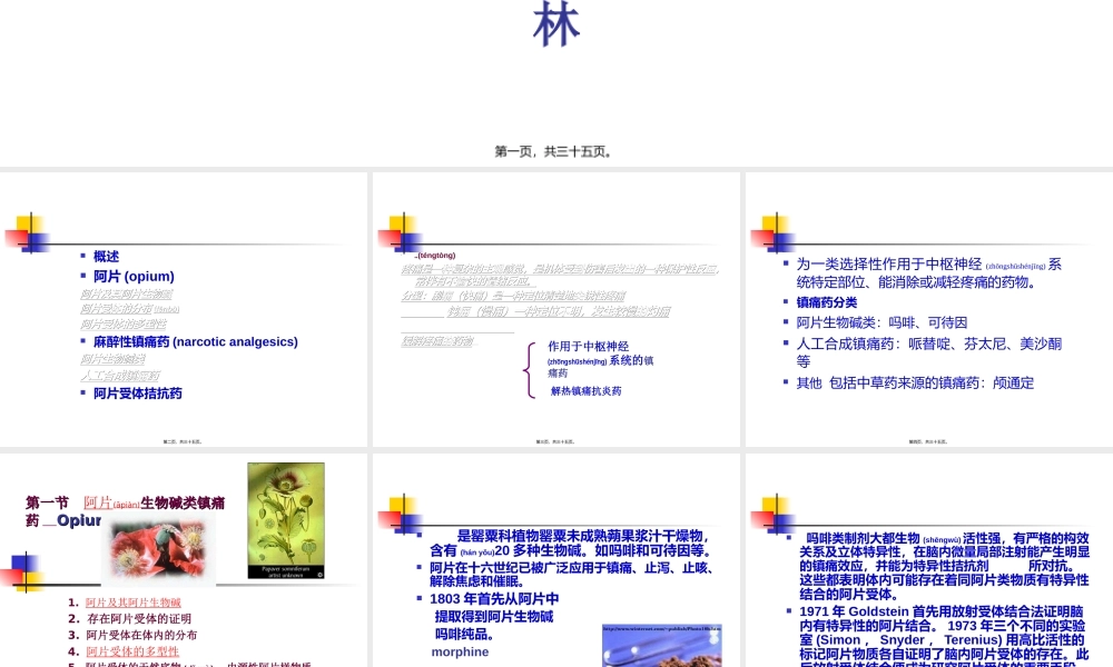 2022年医学专题—第19节--镇痛药.ppt