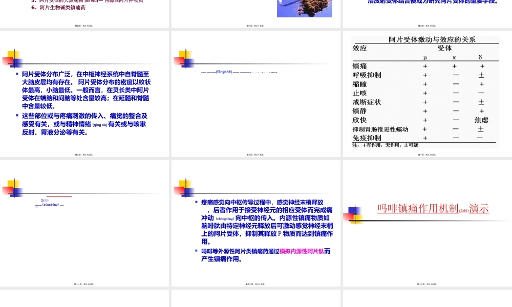 2022年医学专题—第19节--镇痛药.ppt