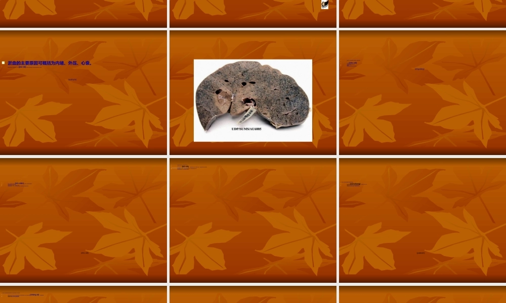 2022年医学专题—第三章--局部血液循环障碍.ppt