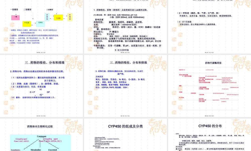 协和-新药药代动力学研究.pptx